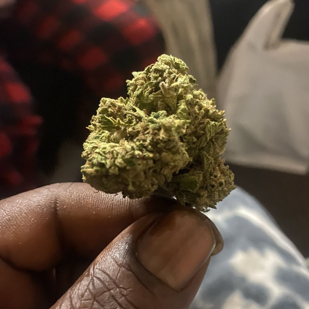 weed delivery Sacramento – Fast and Reliable Weed Delivery Sacramento Straight to Your Door